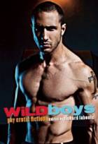 Wild Boys: Gay Erotic Fiction by Richard Labonte (Editor)