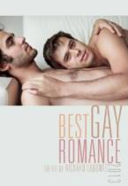 Best Gay Romance 2013 by Richard Labonté (Ed)