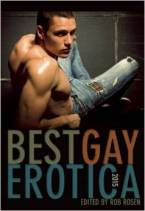 Best Gay Erotica 2015 by Rob Rosen (Ed)