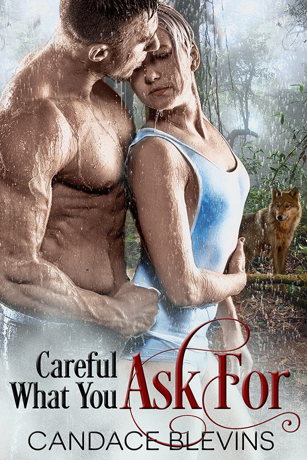Careful What You Ask For by Candace Blevins