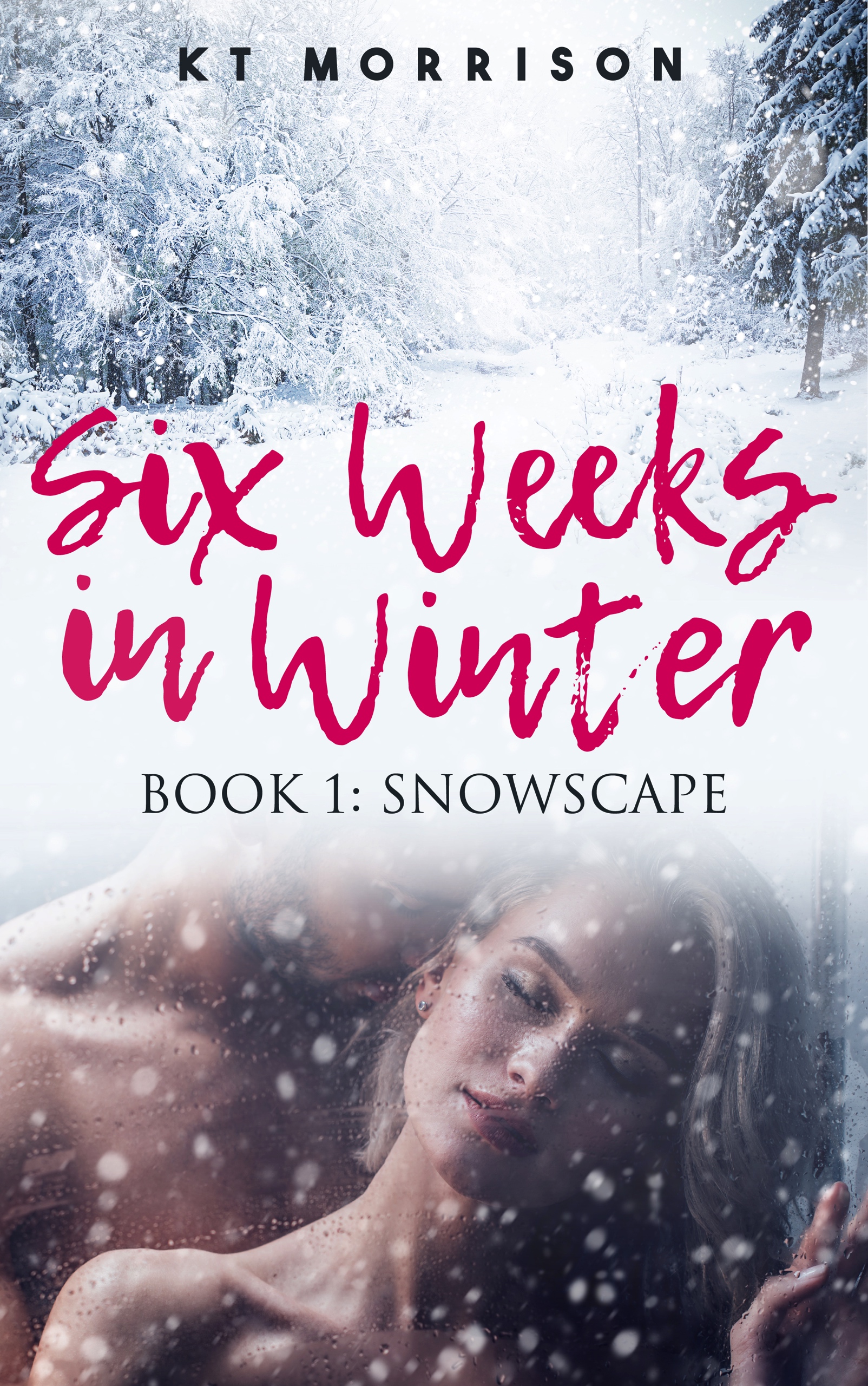 Snowscape (Six Weeks In Winter, Book 1)